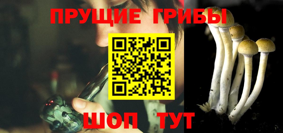 Псилоцибиновые грибы Cubensis Ликино-Дулёво